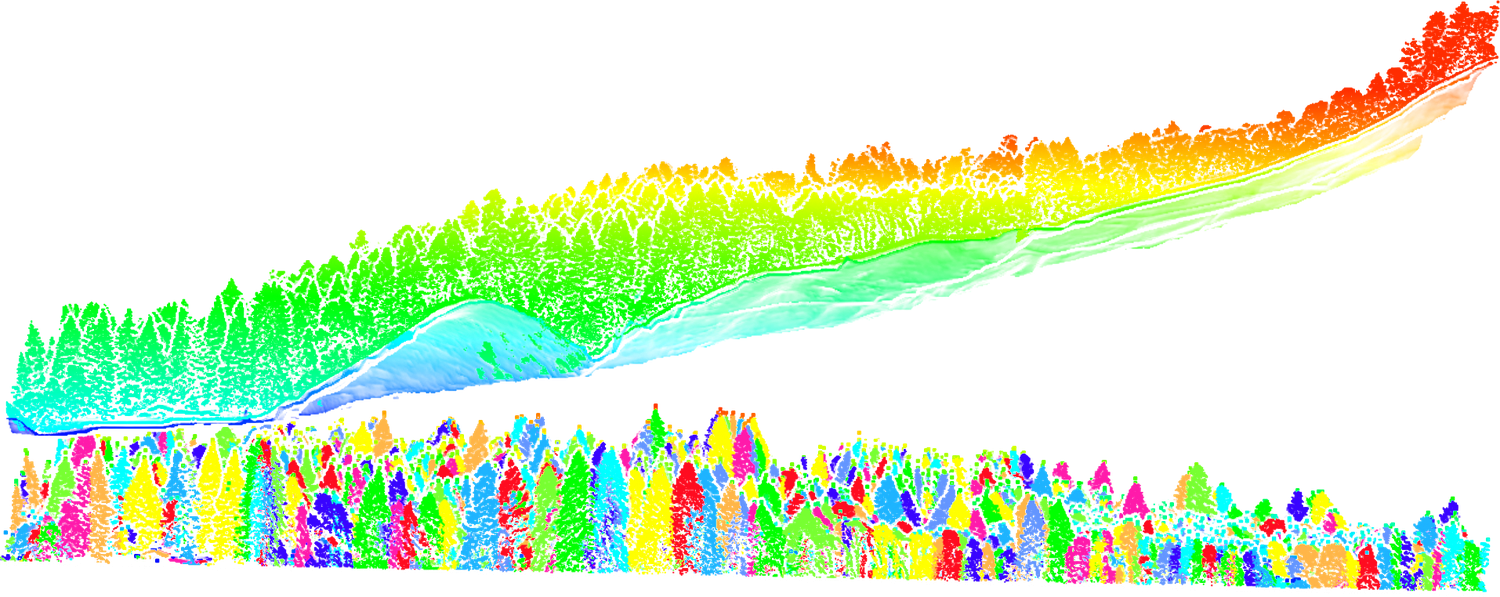 Lidar point cloud of a redwood stand in cross-section — canopy coloured by elevation above the bare-earth terrain surface, with individual trees segmented below